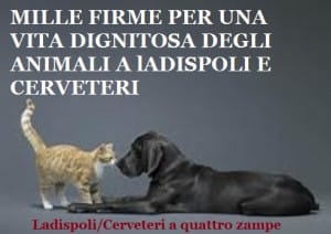 Immagine petizione animali