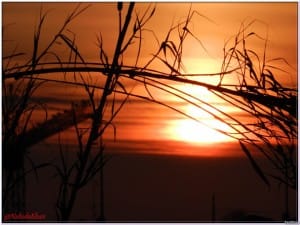 535529_10200635910010969_1940649523_n