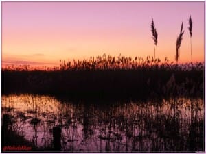 5624_10200635916731137_1545080219_n