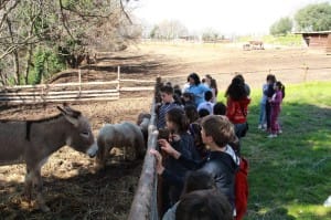 scuolambiente1