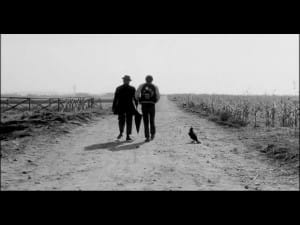 uccellacci e uccellini