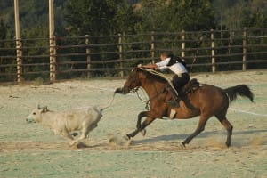 rodeo-butteri