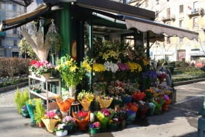 Immagine di repertorio