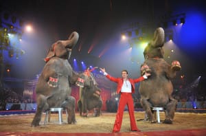 circo