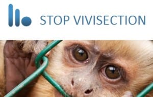 stop-vivisection