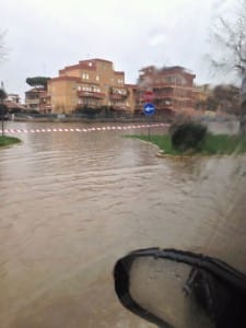 7e8d0556ee1b1cfc579edd399432ed96