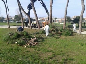 villaguglielmialberi