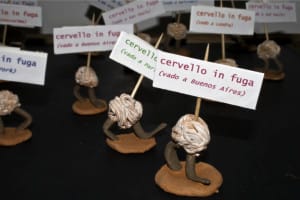 cervelli-in-fuga