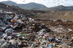 Discarica2