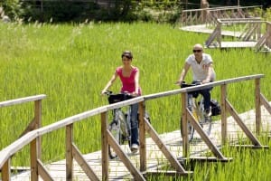 biciclette-passeggiata