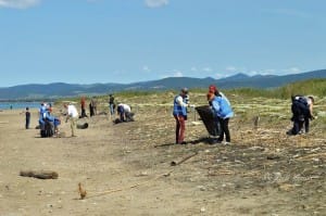 pulizia 6 torre flavia day