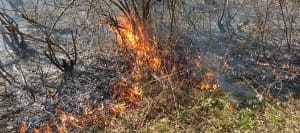 sterpaglie incendio fuoco