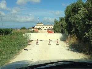 12425_10203723939252557_1170108564915688756_n (1)