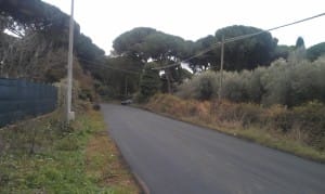 IMAG1504