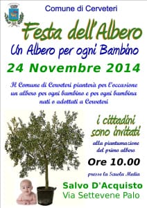 albero 21 novembre