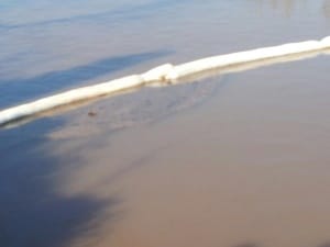 Fasce di assorbimento e contenimento del kerosene