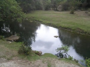 MINOLTA DIGITAL CAMERA