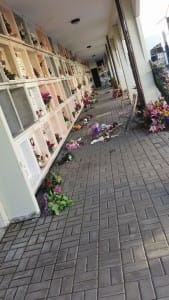 10440780_10206109816889316_8613699133133453060_n