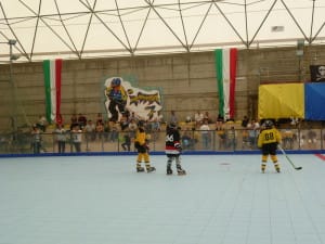 PalaMercuri