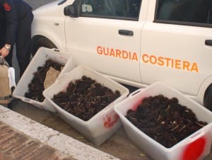 sequestro ricci (4)
