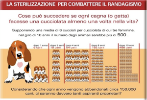 sterilizzazione cani