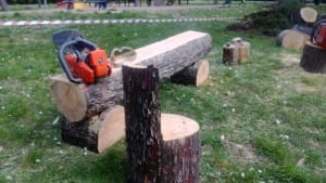 Alberi