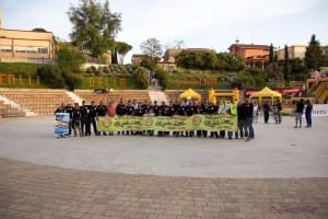 gruppo organizzativo Acido Lattico