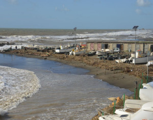porto-pidocchio