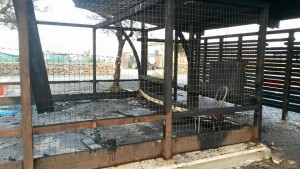 11169953_10205285975742901_7831918298247427928_n