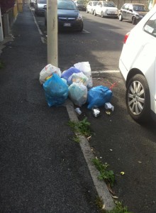 10488147_10206732865349287_5283657463943599828_n