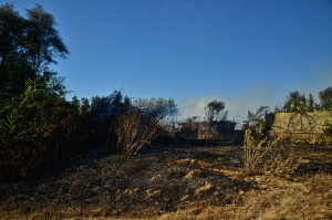 incendio