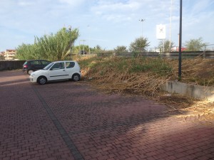 IMG_2522