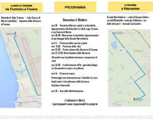 marcia per la terra 2