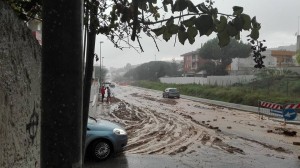 12196300_472836896174881_4891750854950313871_n