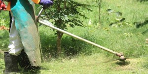 baratto_amministrativo1