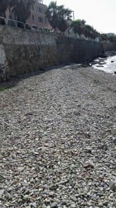 12957272_10209196070888718_884134846_n