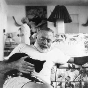 Hemingway con uno dei suoi gatti. Ernest Hemingway Collection, JFK Presidential Library and Museum