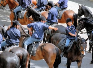 polizia a cavallo