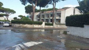 14067700_10207218076510089_6984965969454650384_n