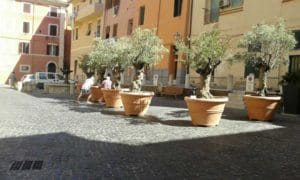 WhatsApp Image 2016-08-08 at 10.59.03