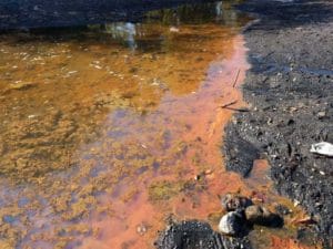 14707868_1295666270443461_4482398989300908837_o