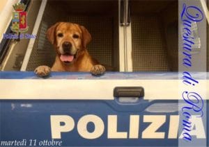 polizia-cinofila