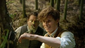 animali fantastici e dove trovarli