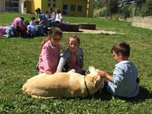 educazione-alla-cinofilia