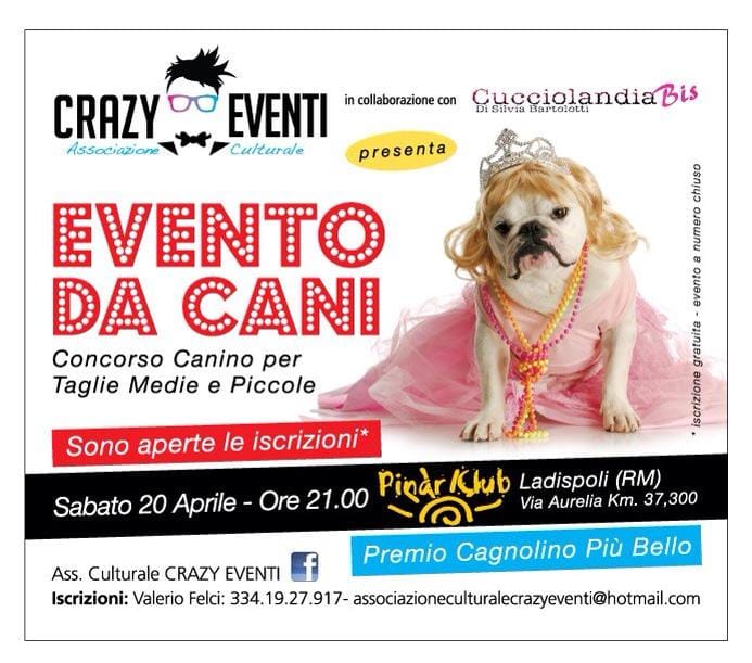 Evento da cani 1