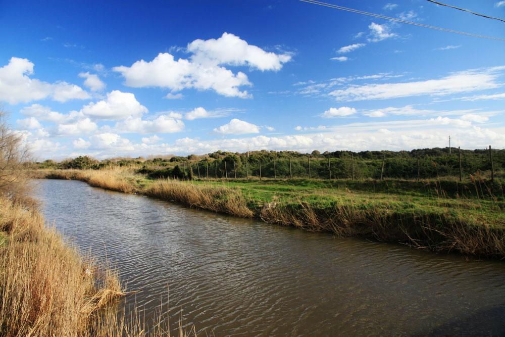 riserva-litorale-romano-passoscuro