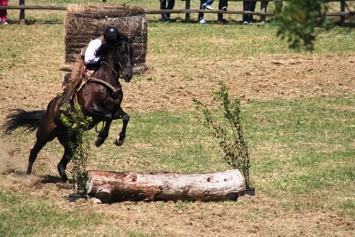 Gara equestre