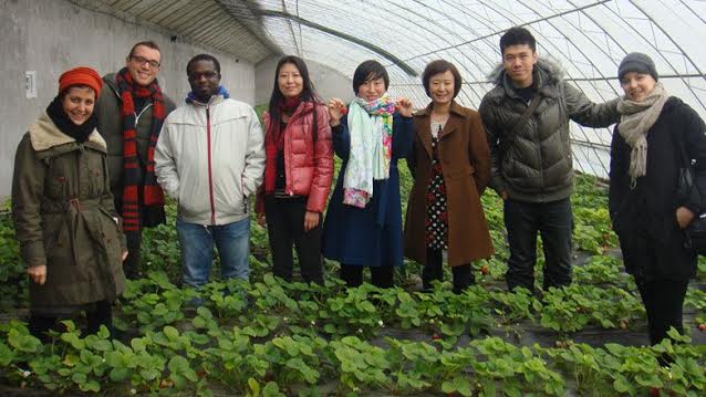 Digging Deep, un orto per favorire l’integrazione