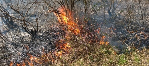 sterpaglie incendio fuoco