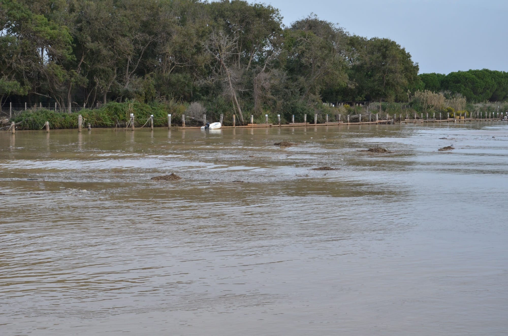 il fiume Fiora il fiume Fiora